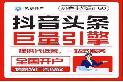 竞价广告的投放时机与频次选择——基于案例的探讨